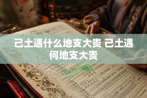 己土遇什么地支大贵 己土遇何地支大贵