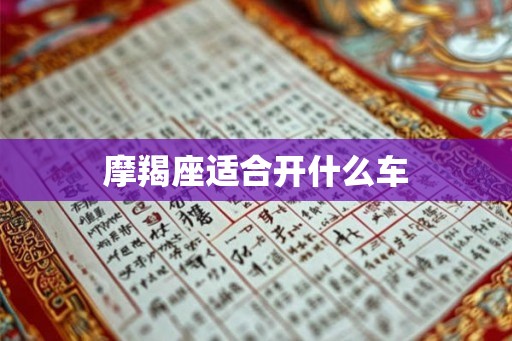 摩羯座适合开什么车