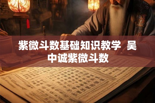 紫微斗数基础知识教学  吴中诚紫微斗数