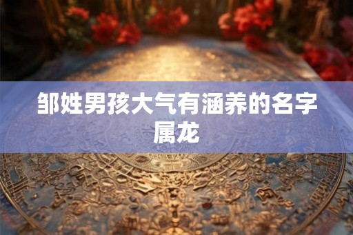 邹姓男孩大气有涵养的名字属龙 邹姓男孩大气有涵养的名字属龙