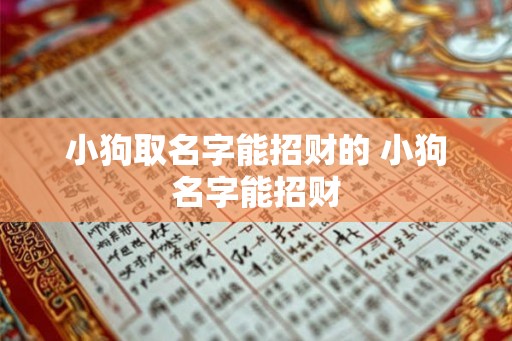 小狗取名字能招财的 小狗名字能招财 小狗取名字能招财的 小狗名字能招财