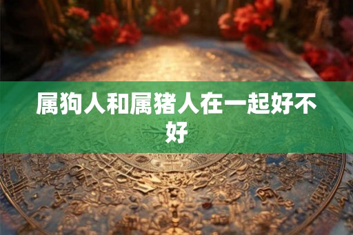 属狗人和属猪人在一起好不好