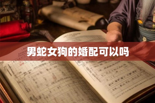 男蛇女狗的婚配可以吗