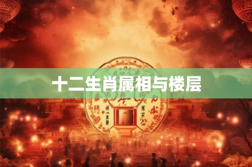 十二生肖属相与楼层
