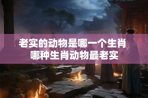 老实的动物是哪一个生肖 哪种生肖动物最老实