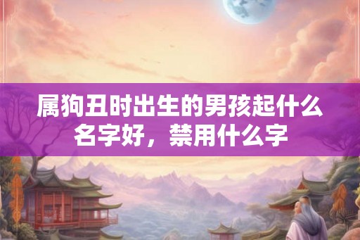 属狗丑时出生的男孩起什么名字好，禁用什么字