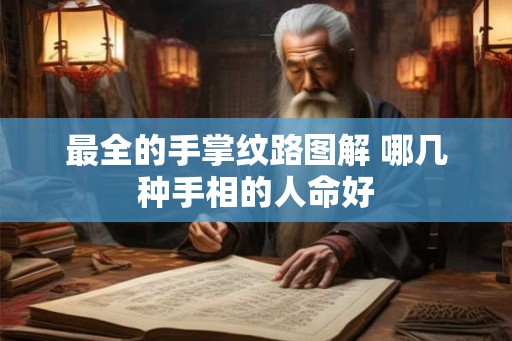 最全的手掌纹路图解 哪几种手相的人命好