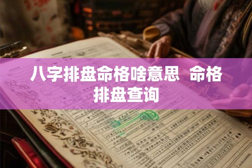 八字排盘命格啥意思  命格排盘查询