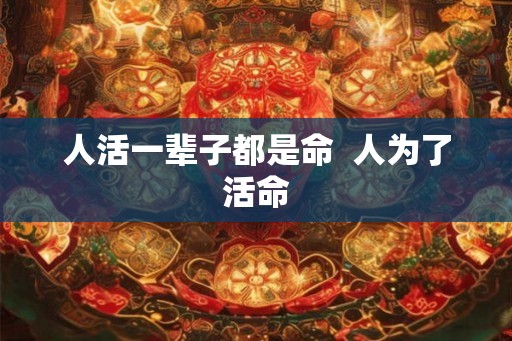 人活一辈子都是命 人为了活命 人活一辈子都是命 人为了活命