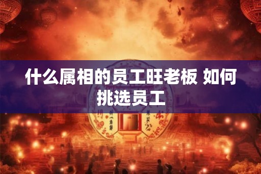 什么属相的员工旺老板 如何挑选员工