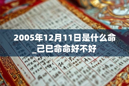 2005年12月11日是什么命_己巳命命好不好 2005年12月11日是什么命_己巳命命好不好