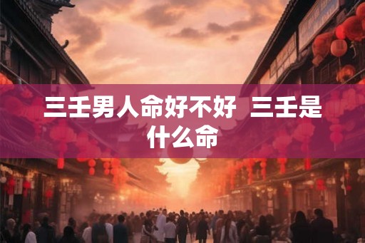 三壬男人命好不好  三壬是什么命