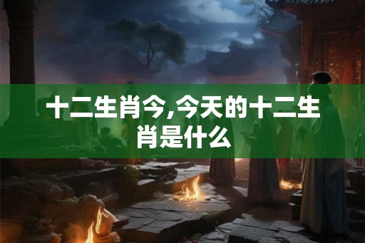 十二生肖今,今天的十二生肖是什么