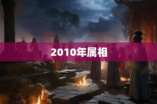 2010年属相
