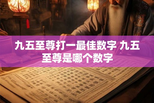 九五至尊打一最佳数字 九五至尊是哪个数字