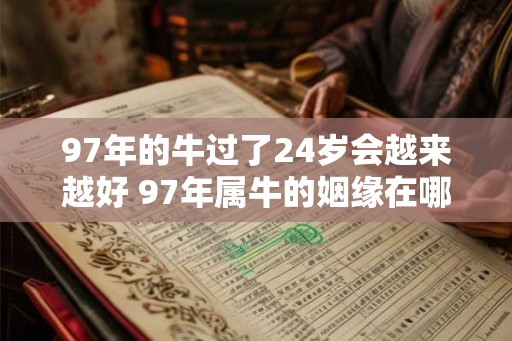 97年的牛过了24岁会越来越好 97年属牛的姻缘在哪年