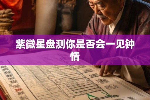 紫微星盘测你是否会一见钟情