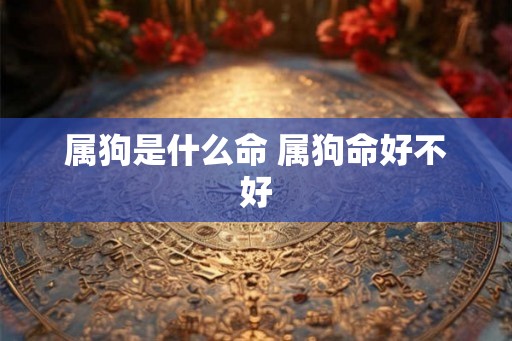 属狗是什么命 属狗命好不好