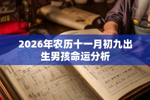 2026年农历十一月初九出生男孩命运分析
