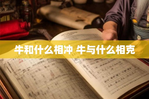 牛和什么相冲 牛与什么相克