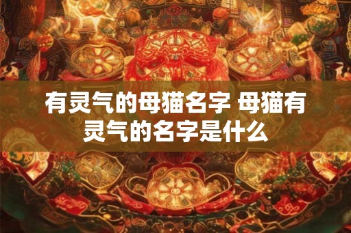 有灵气的母猫名字 母猫有灵气的名字是什么
