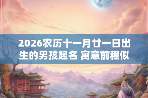 2026农历十一月廿一日出生的男孩起名 寓意前程似锦名字