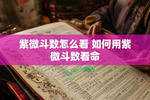 紫微斗数怎么看 如何用紫微斗数看命