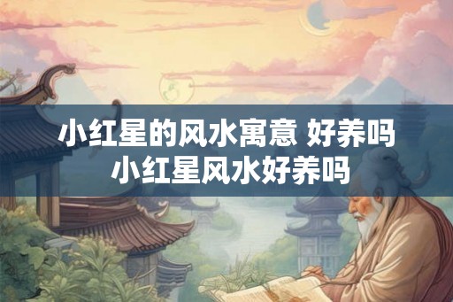 小红星的风水寓意 好养吗 小红星风水好养吗