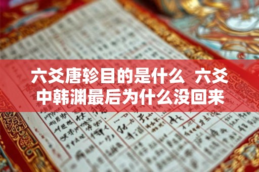 六爻唐轸目的是什么 六爻中韩渊最后为什么没回来 六爻唐轸目的是什么 六爻中韩渊最后为什么没回来