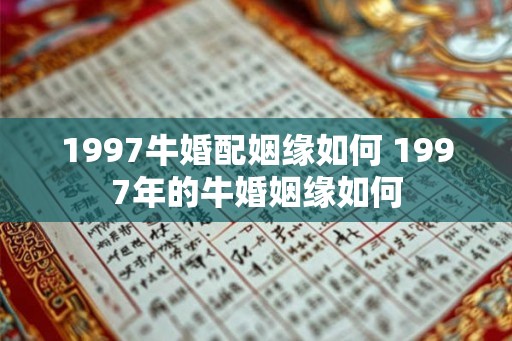 1997牛婚配姻缘如何 1997年的牛婚姻缘如何 1997牛婚配姻缘如何 1997年的牛婚姻缘如何