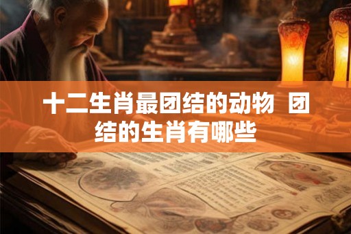 十二生肖最团结的动物  团结的生肖有哪些