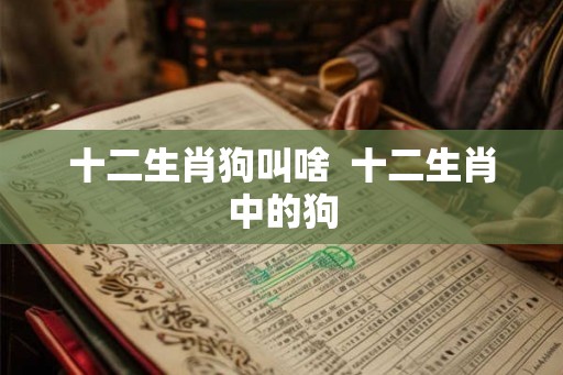 十二生肖狗叫啥  十二生肖中的狗