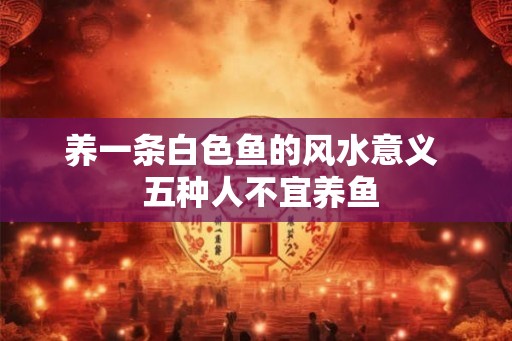 养一条白色鱼的风水意义  五种人不宜养鱼