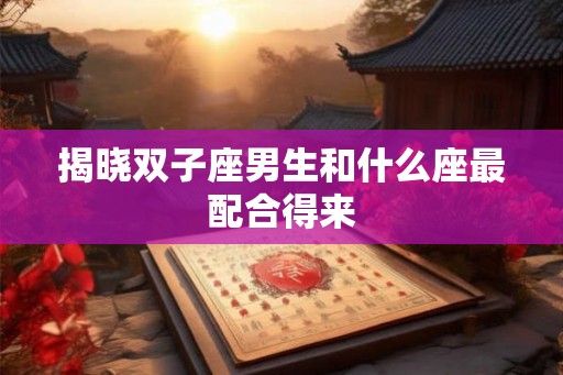 揭晓双子座男生和什么座最配合得来