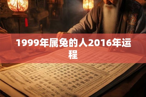 1999年属兔的人2016年运程