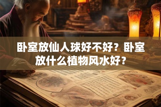 卧室放仙人球好不好？卧室放什么植物风水好？