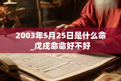 2003年5月25日是什么命_戊戌命命好不好