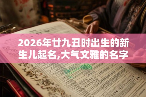 2026年廿九丑时出生的新生儿起名,大气文雅的名字