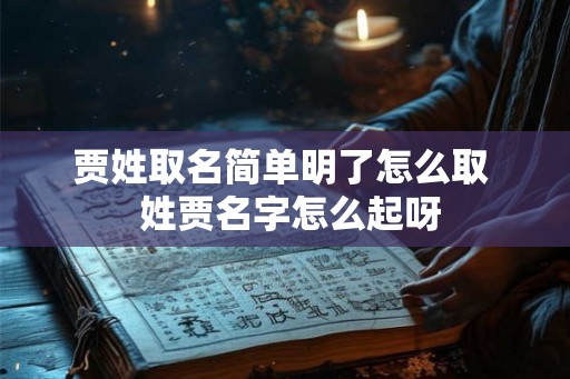 贾姓取名简单明了怎么取  姓贾名字怎么起呀