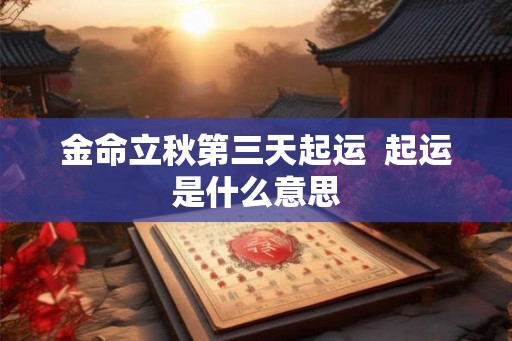 金命立秋第三天起运  起运是什么意思