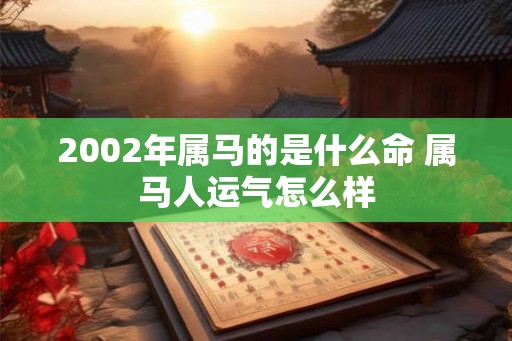 2002年属马的是什么命 属马人运气怎么样