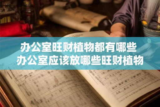 办公室旺财植物都有哪些 办公室应该放哪些旺财植物 办公室旺财植物都有哪些 办公室应该放哪些旺财植物