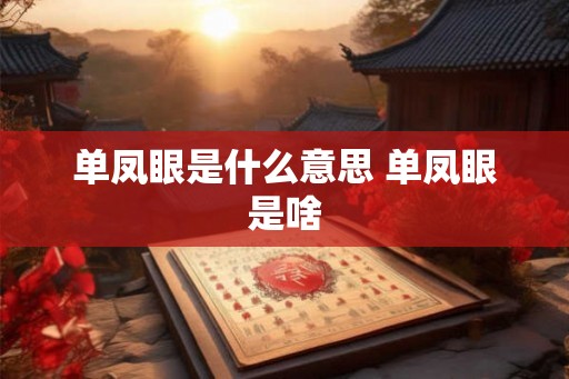 单凤眼是什么意思 单凤眼是啥