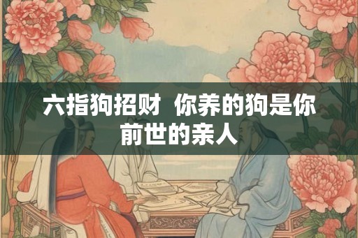 六指狗招财  你养的狗是你前世的亲人