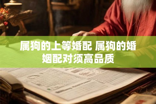 属狗的上等婚配 属狗的婚姻配对须高品质