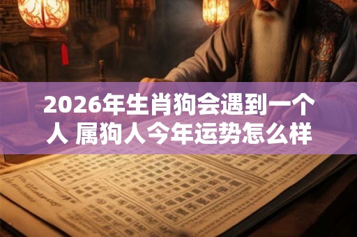 2026年生肖狗会遇到一个人 属狗人今年运势怎么样 2026年生肖狗会遇到一个人 属狗人今年运势怎么样