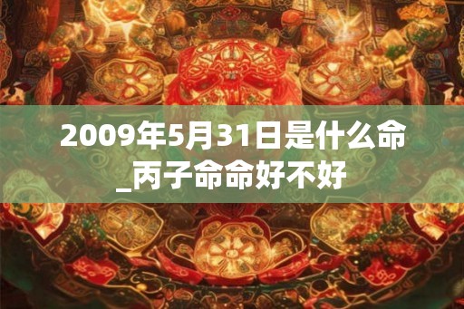 2009年5月31日是什么命_丙子命命好不好