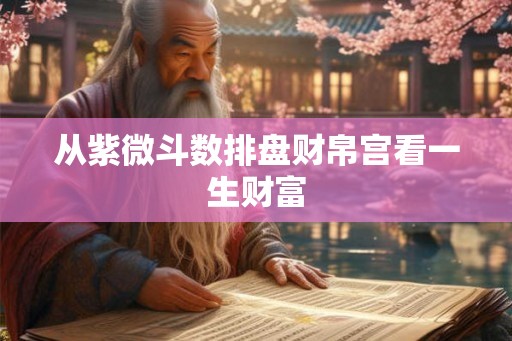 从紫微斗数排盘财帛宫看一生财富