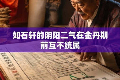 如石轩的阴阳二气在金丹期前互不统属