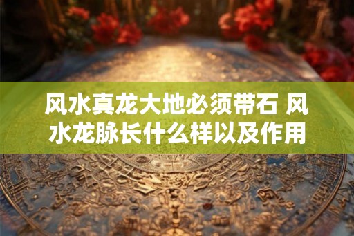 风水真龙大地必须带石 风水龙脉长什么样以及作用 风水真龙大地必须带石 风水龙脉长什么样以及作用
